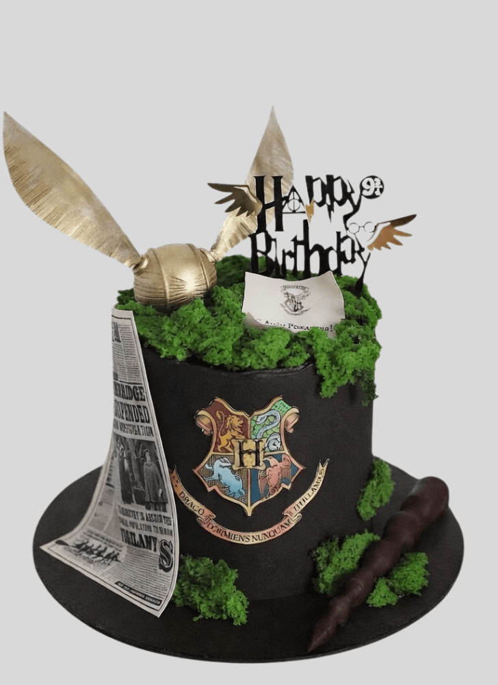 Classy Hogwarts Cake