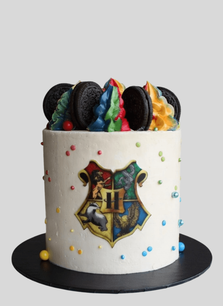 Delicate Hogwarts Cake