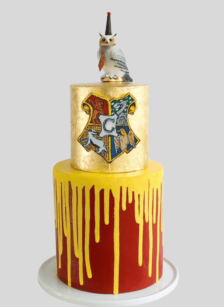 Fetching Hogwarts Cake