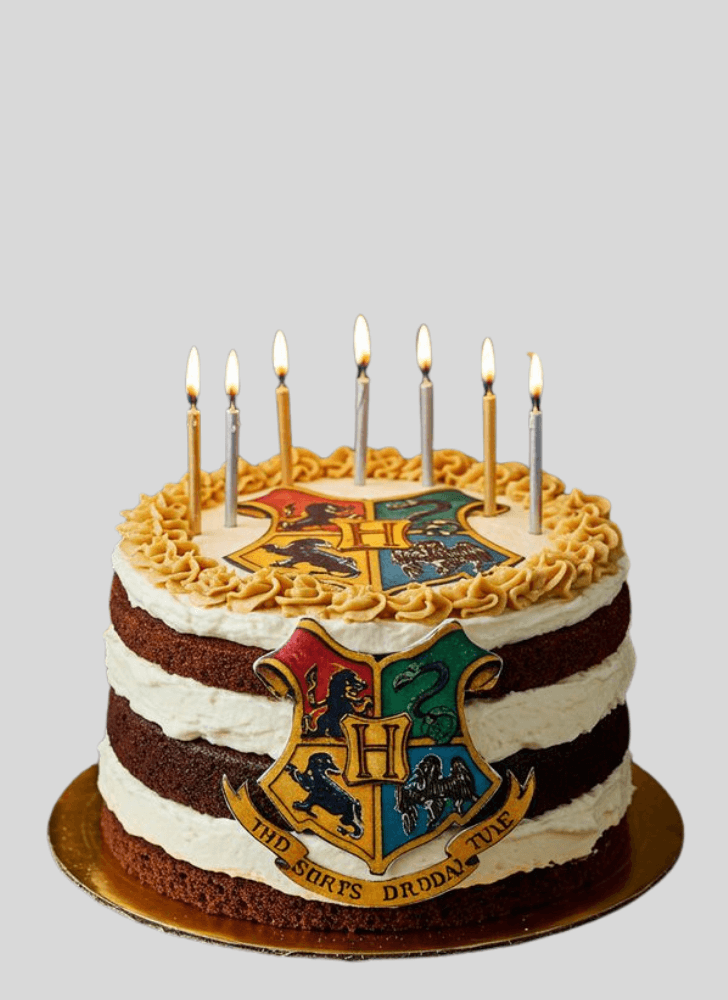 Magnetic Hogwarts Cake