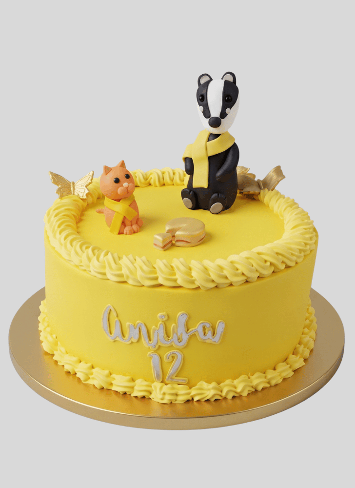 Captivating Hufflepuff Cake