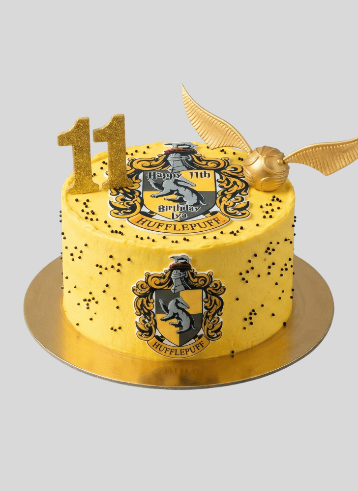 Handsome Hufflepuff Cake