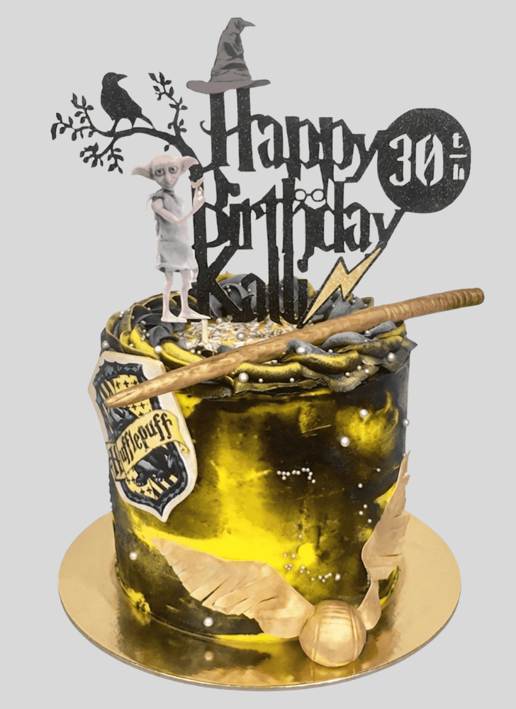 Magnetic Hufflepuff Cake