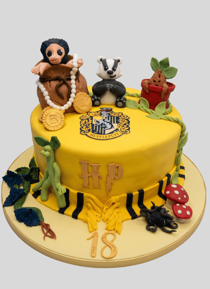 Pretty Hufflepuff Cake
