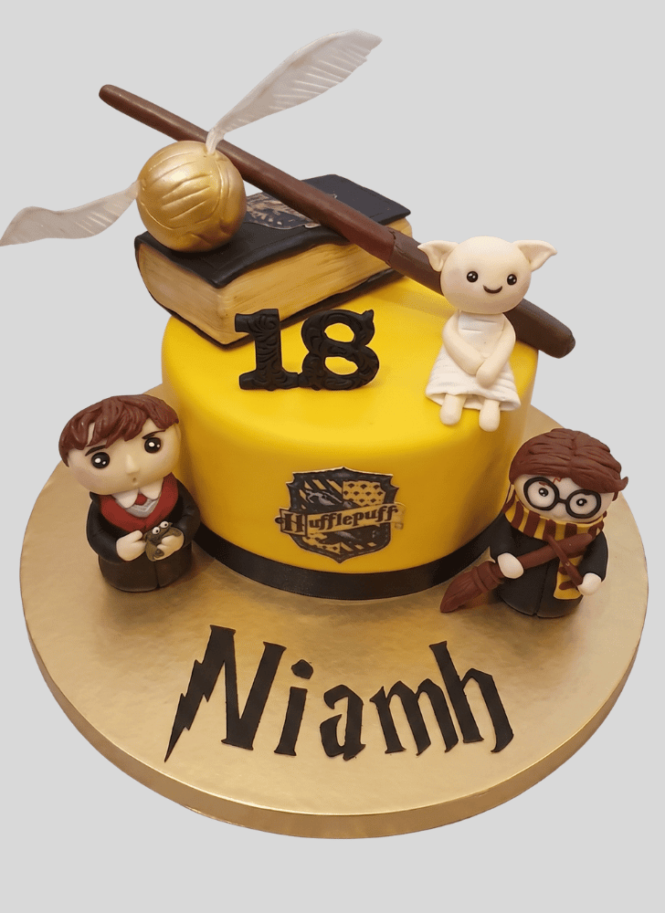 Wonderful Hufflepuff Cake Design