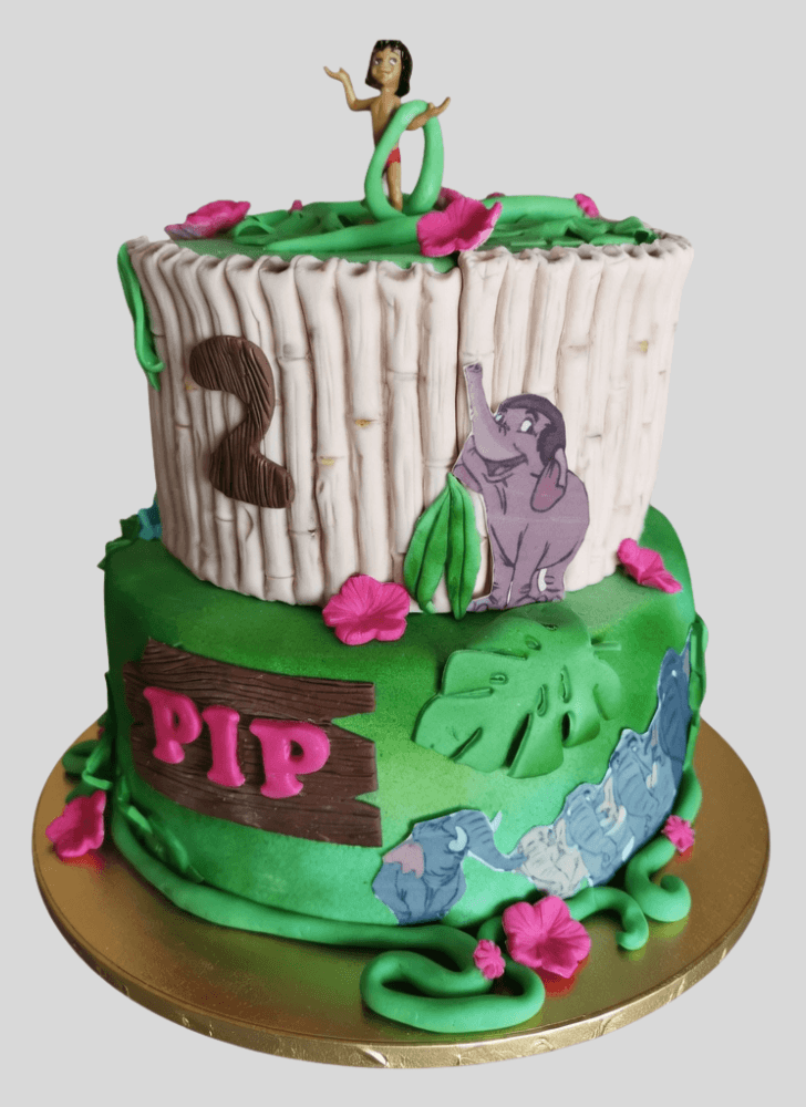 Fair Jungle Book Cake