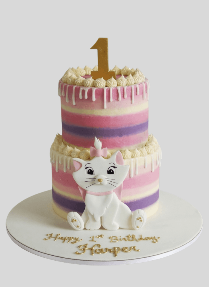 Handsome Disneys Marie Cake