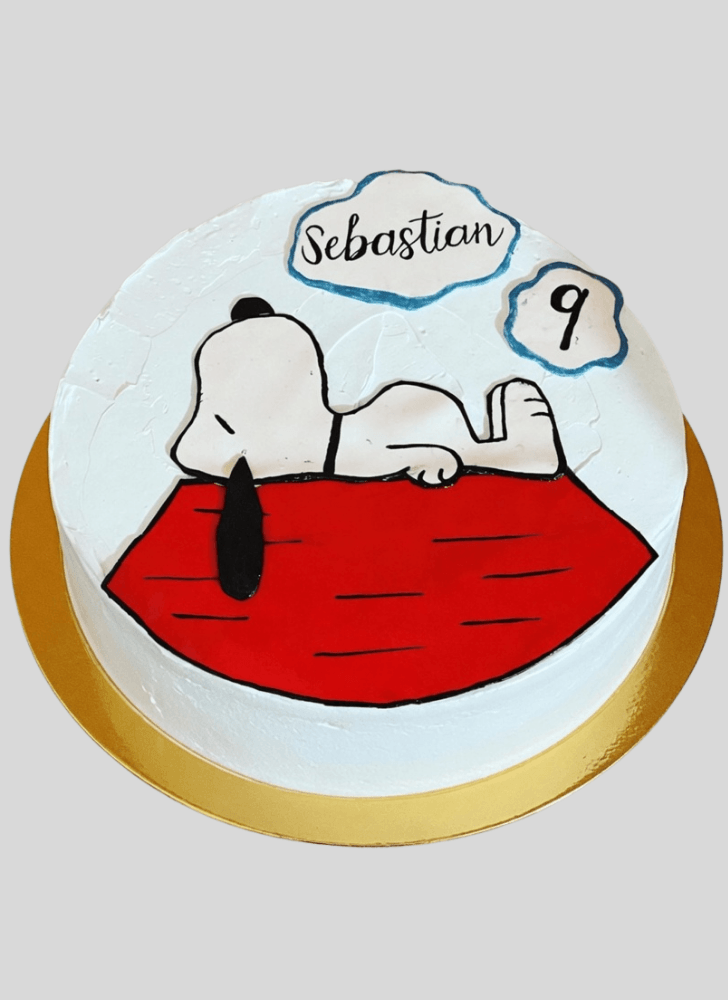 Comely The Peanuts Movie Cake