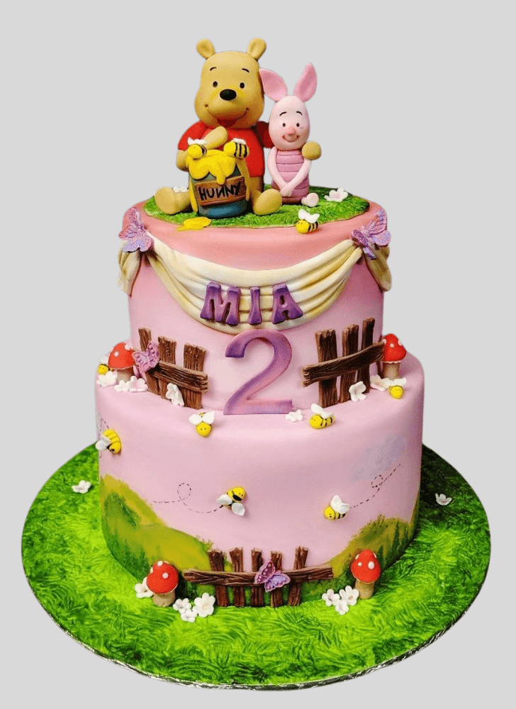 Magnetic Piglet Cake