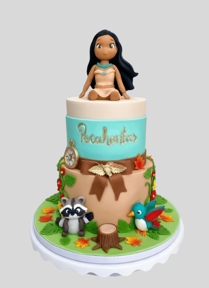 Admirable Pocahontas Cake Design