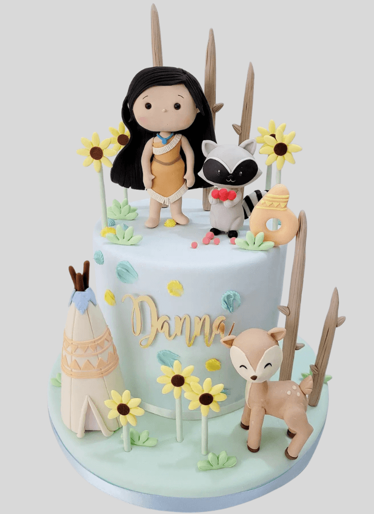 Appealing Pocahontas Cake