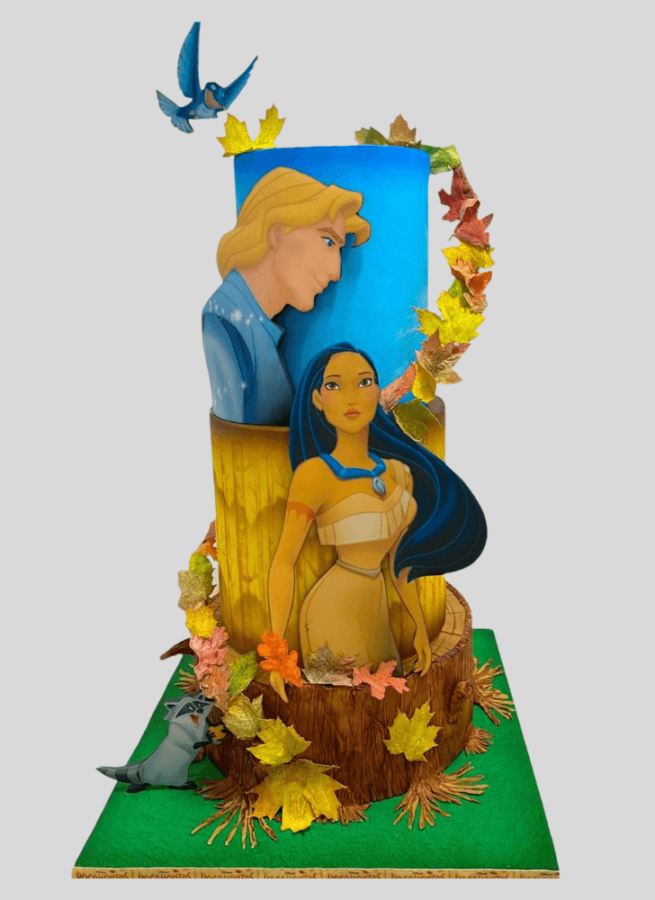 Captivating Pocahontas Cake