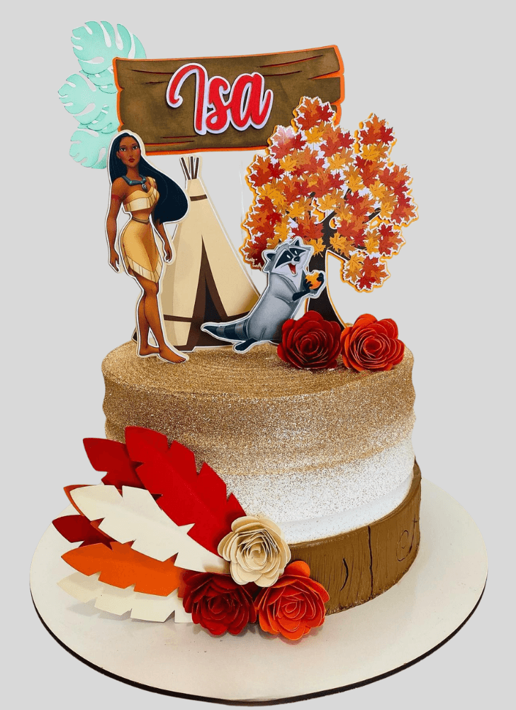 Charming Pocahontas Cake