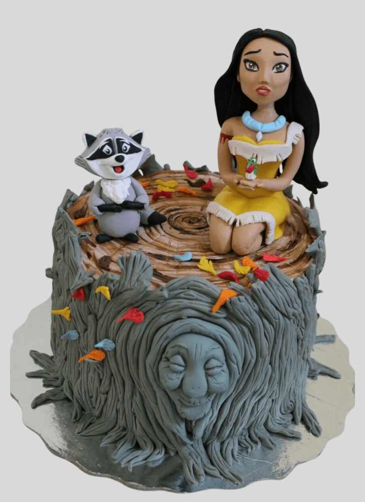 Excellent Pocahontas Cake