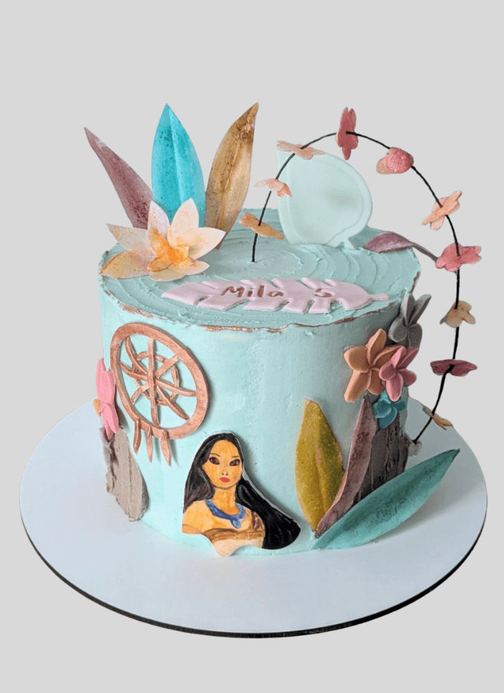 Exquisite Pocahontas Cake