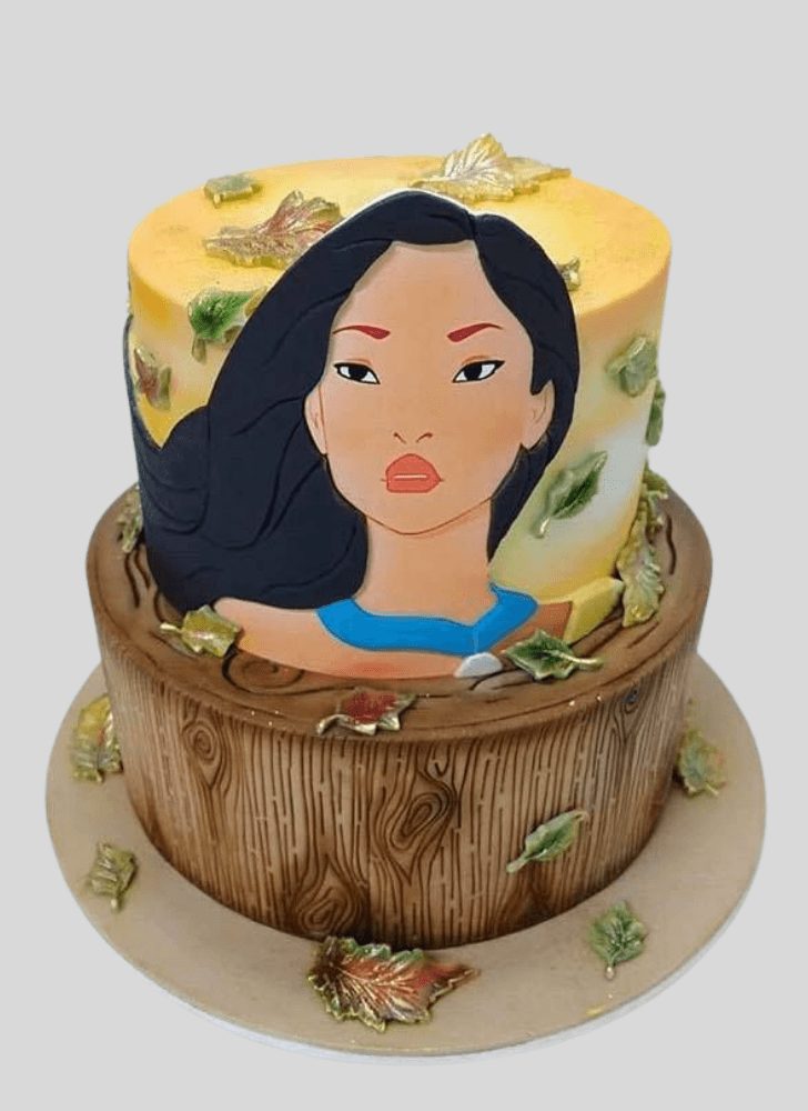 Good Looking Pocahontas Cake
