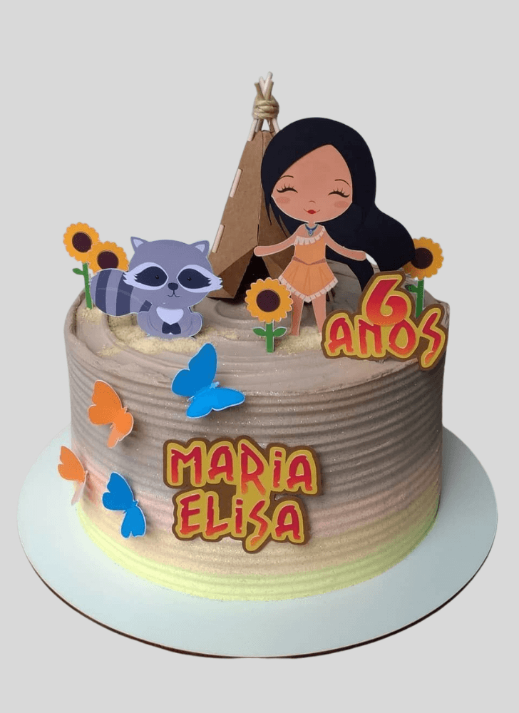 Gorgeous Pocahontas Cake