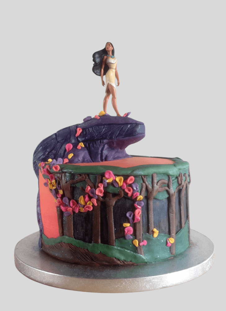 Handsome Pocahontas Cake