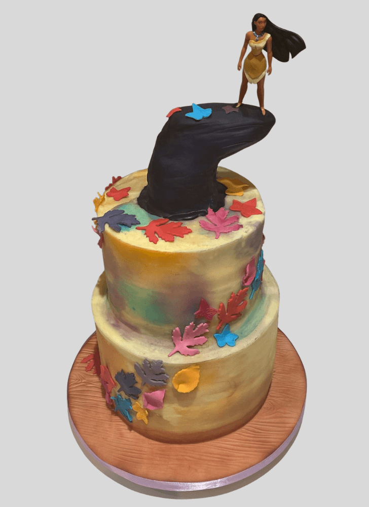 Ideal Pocahontas Cake