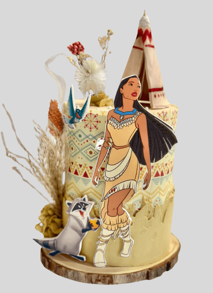 Lovely Pocahontas Cake Design