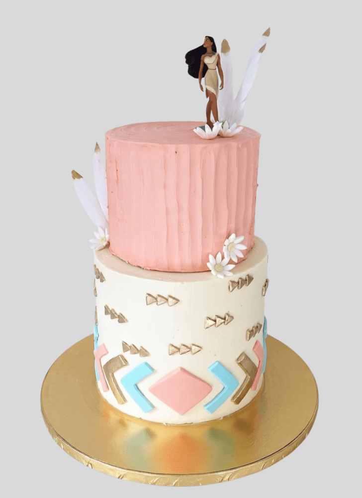 Magnetic Pocahontas Cake