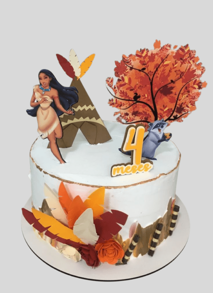 Magnificent Pocahontas Cake