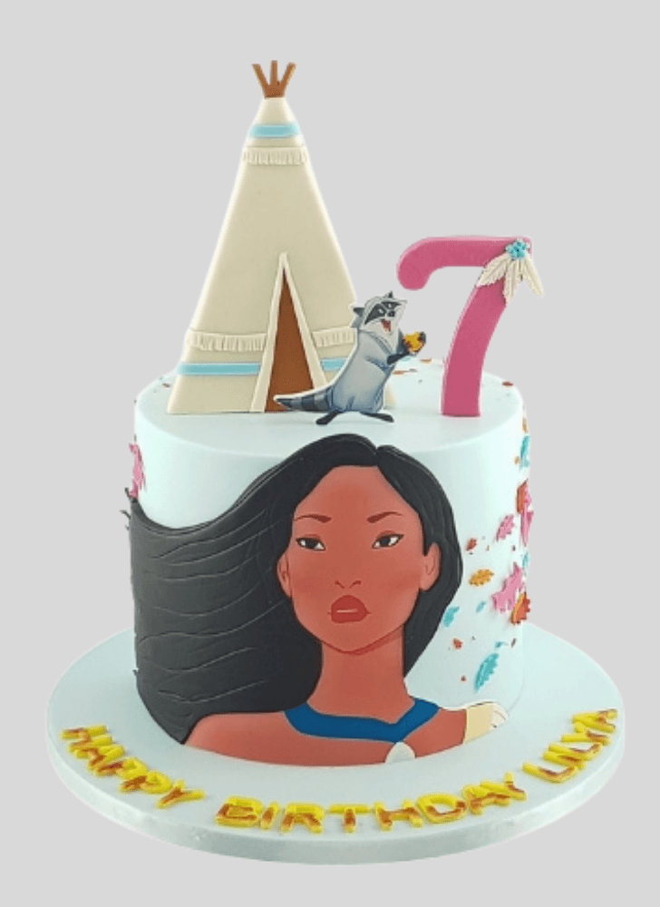 Nice Pocahontas Cake