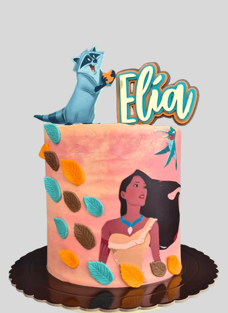 Pretty Pocahontas Cake