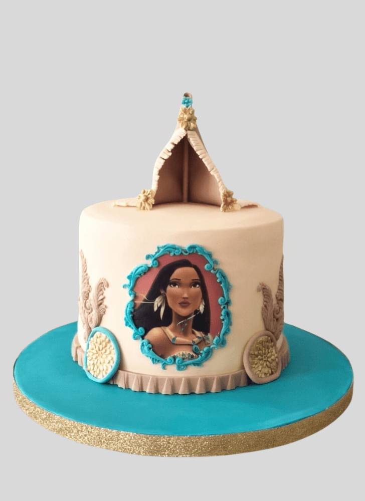 Wonderful Pocahontas Cake Design