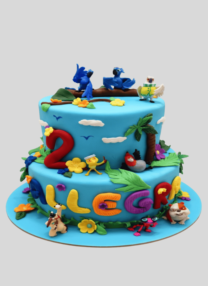 Admirable Rio Cake Design