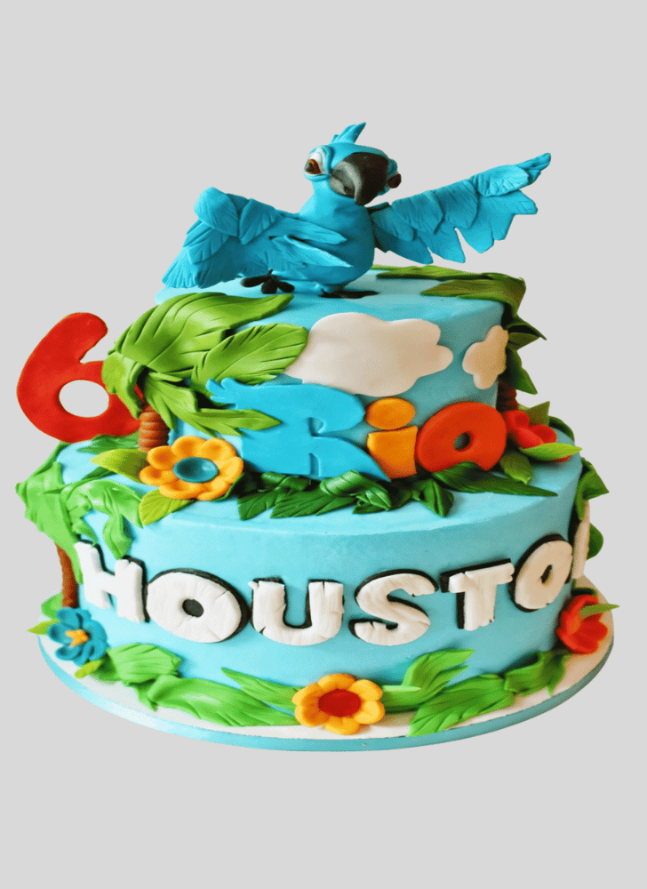 Bewitching Rio Cake