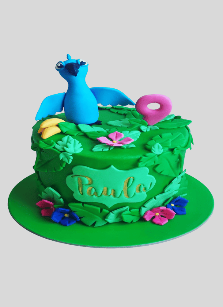 Cute Rio Cake