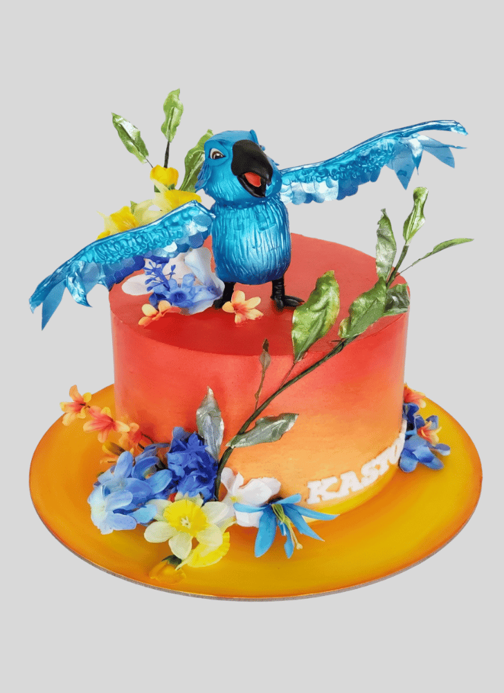 Divine Rio Cake