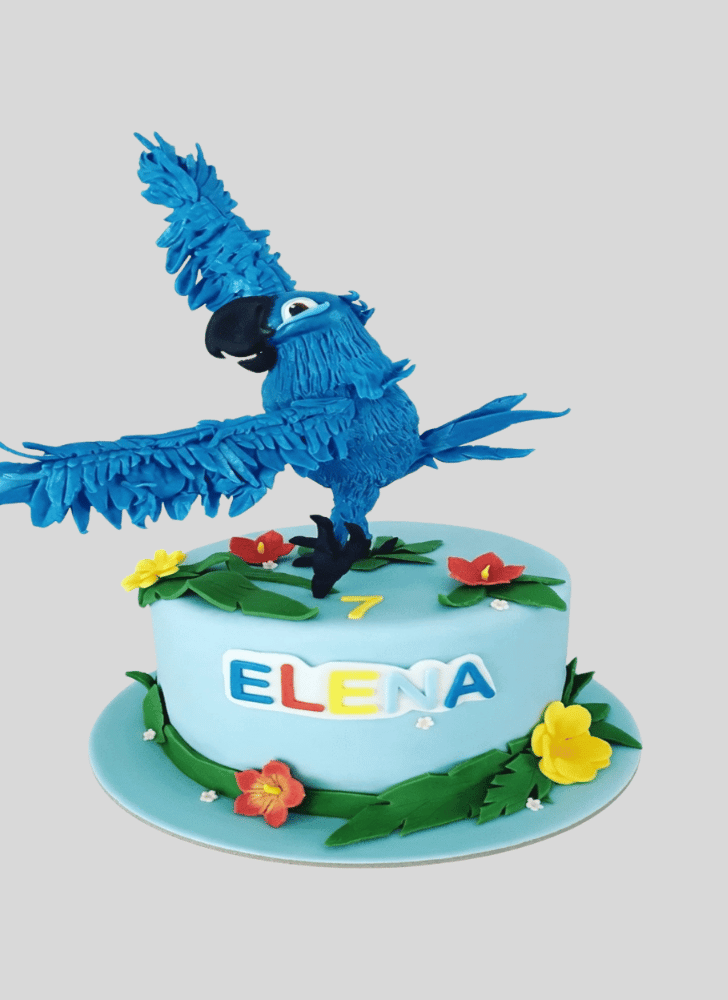 Excellent Rio Cake