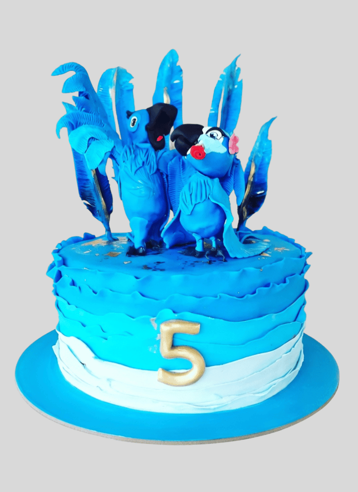 Fine Rio Cake