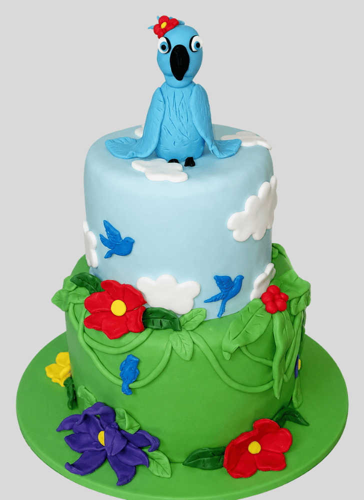 Lovely Rio Cake Design
