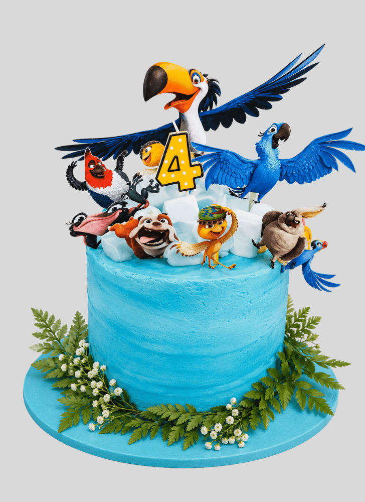Magnetic Rio Cake