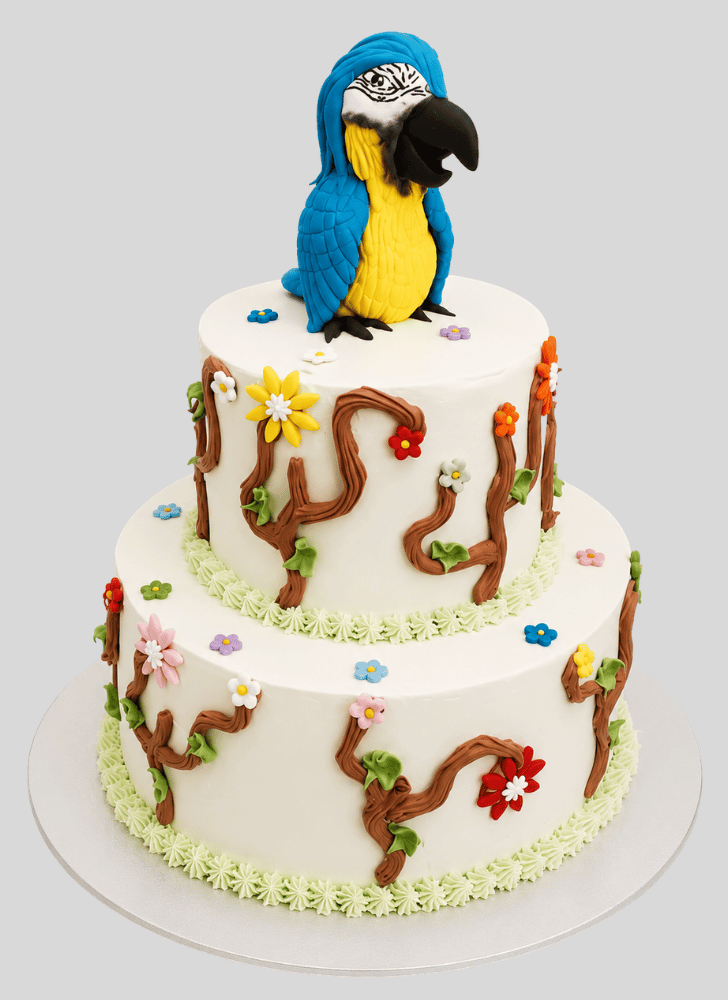 Ravishing Rio Cake