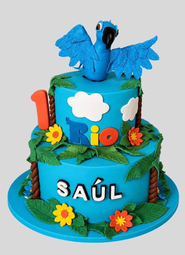 Slightly Rio Cake
