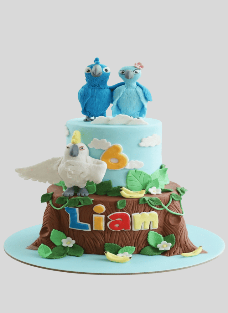 Wonderful Rio Cake Design