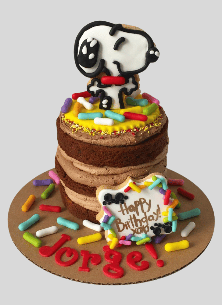 Graceful Snoopy Cake