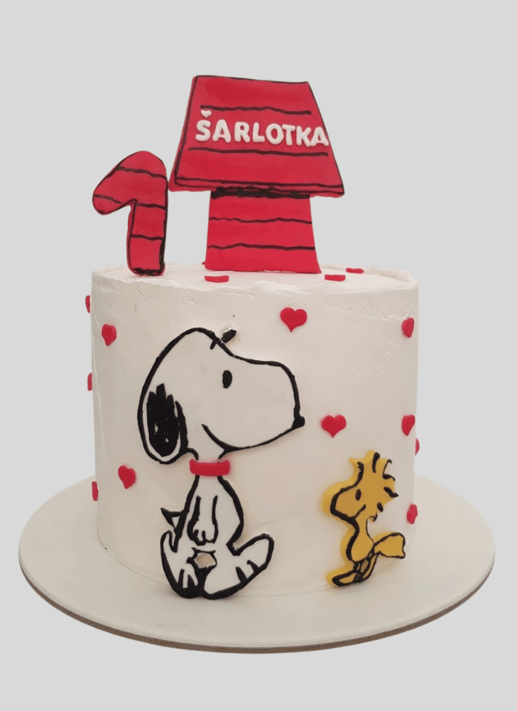 Magnetic Snoopy Cake