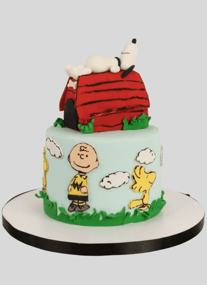 Slightly Snoopy Cake