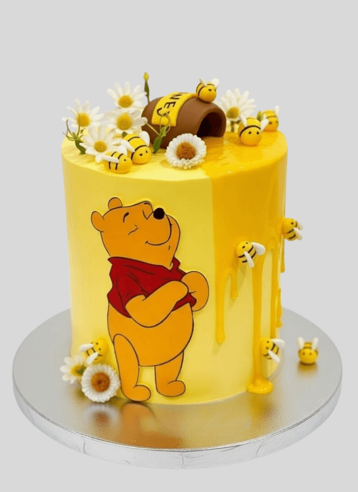 Magnetic Winnie the Pooh Cake