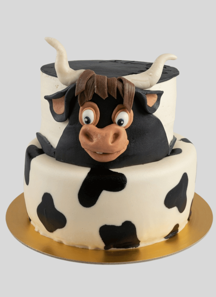 Magnetic Ferdinand Cake