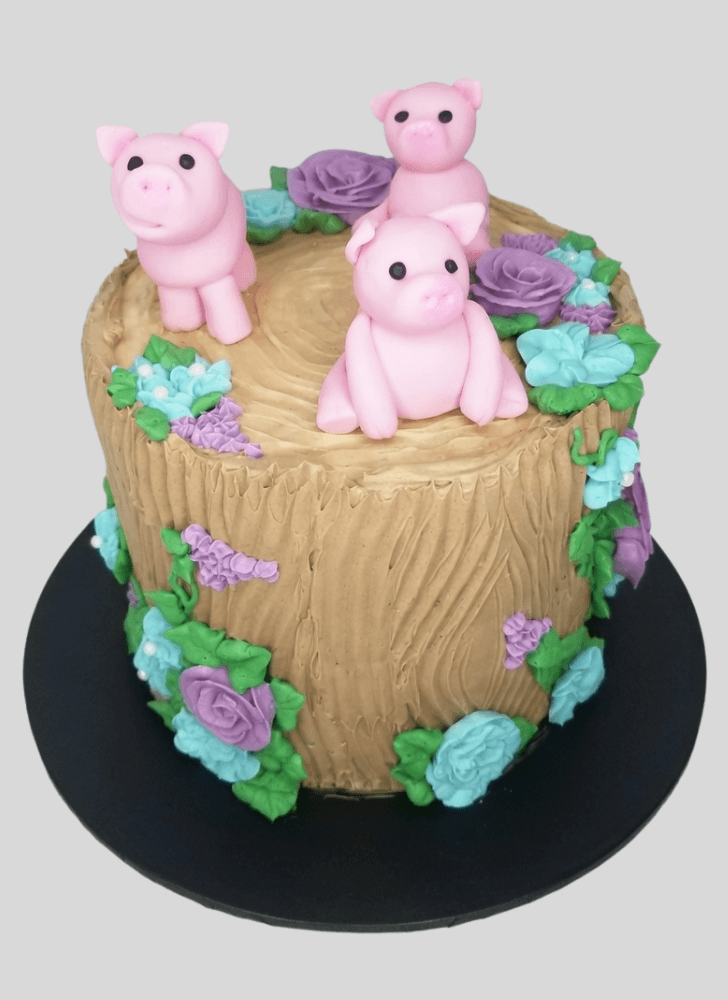 Magnetic Three Little Pigs Cake