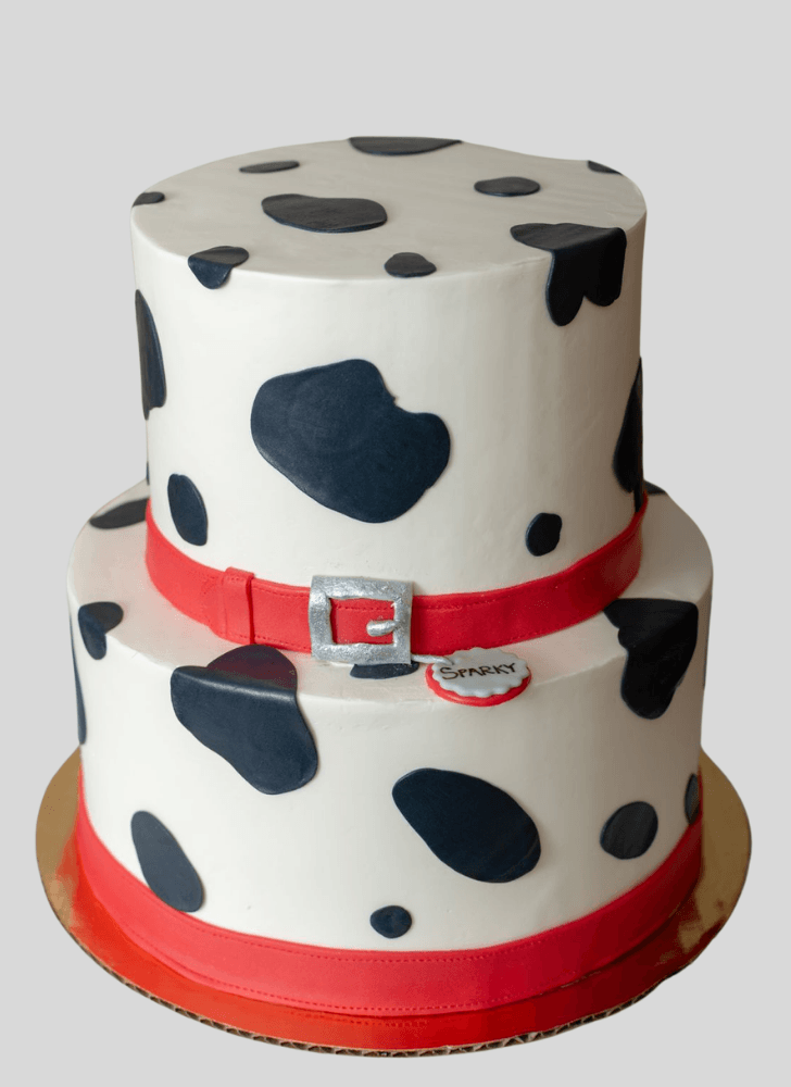 Shapely 101 Dalmatians Cake
