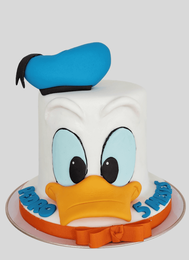 Gorgeous Donald Duck Cake