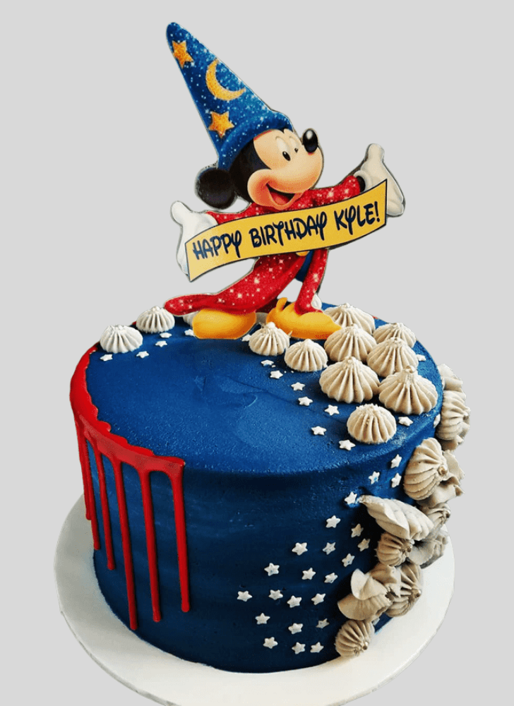 Good Looking Fantasia Cake