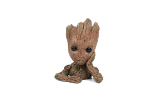 Groot
